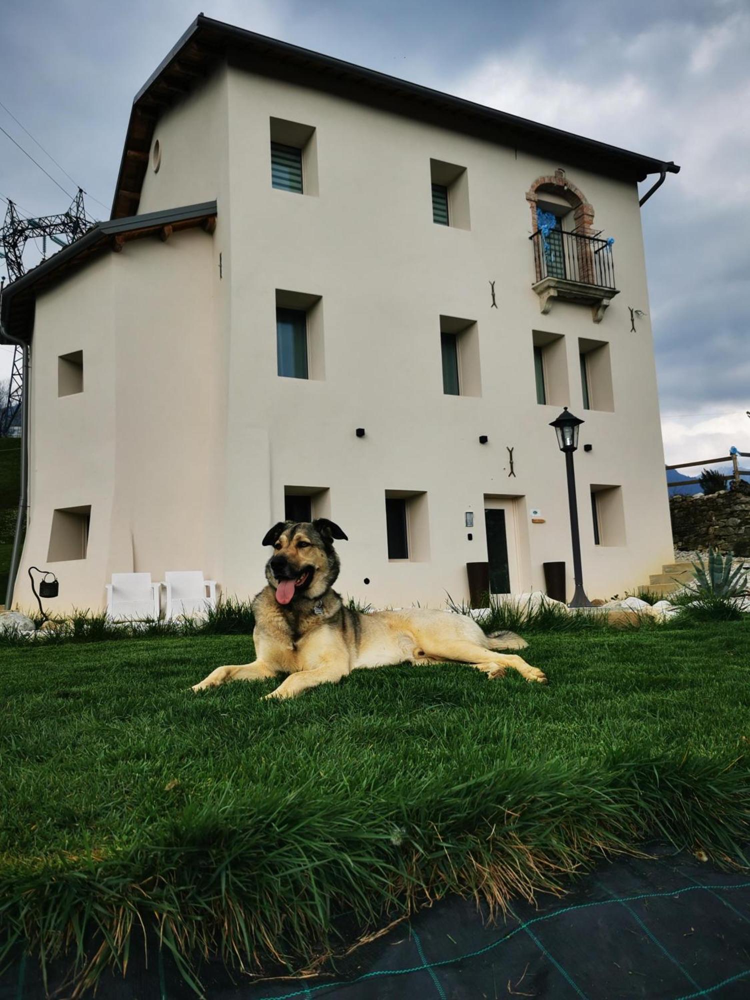 Casa Borriero Farmhouse Charme B&B Sospirolo Kültér fotó